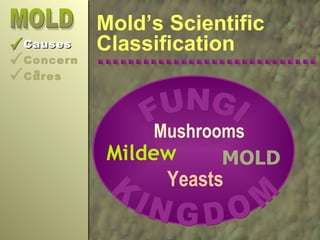 Mold | PPT