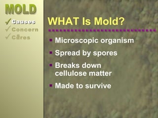 Mold | PPT