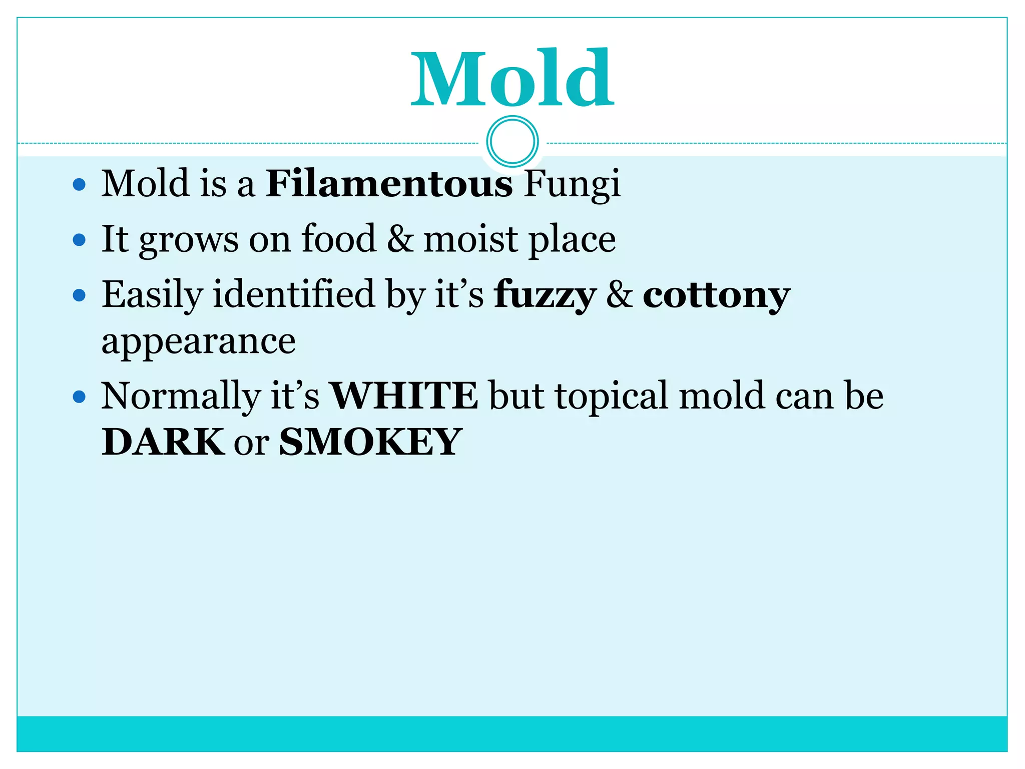 Mold | PPT