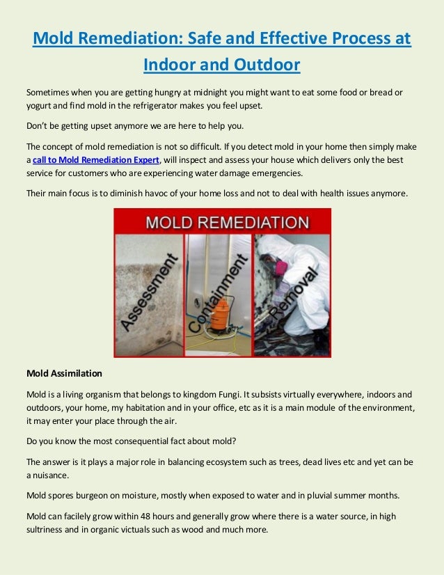 Mold Remediation Safe and Effective Process at Indoor and Outdoor
