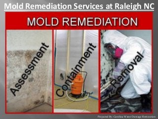 Prepared By: Carolina Water Damage Restoration
Mold Remediation Services at Raleigh NC
 