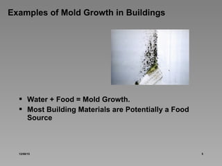 Mold Basics | PPT