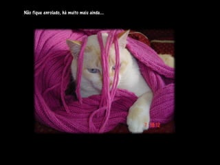 Não fique enrolado, há muito mais ainda...
 