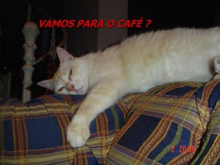 VAMOS PARA O CAFÉ ?
 