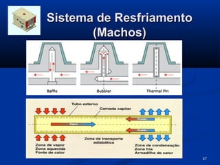Sistema de Resfriamento
       (Machos)




                          47
 