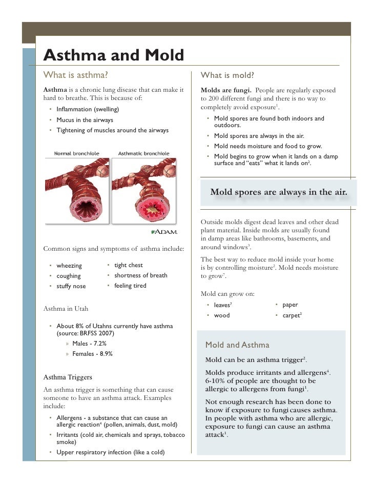 Mold and Asthma