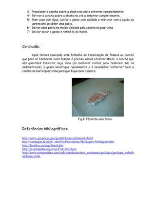3- Pressionar a concha sobre a plasticina até a enterrar completamente.
   4- Retirar a concha sobre a plasticina até a enterrar completamente.
   5- Num copo com água, juntar o gesso com cuidado e misturar com a ajuda da
      vareta até se obter uma pasta.
   6- Deitar essa pasta no molde deixado pela concha na plasticina.
   7- Deixar secar o gesso e retirá-lo do molde.




Conclusão:

      Após termos realizado este trabalho de fossilização de fósseis eu concluí
que para se formarem bons fósseis é preciso várias características, a concha que
nós queremos fossilizar seja dura (as melhores rochas para fossilizar são as
sedimentares), o gesso solidifique rapidamente e é necessário “enterrar” bem a
concha no barro/plasticina para que fique bem a marca.




                                          Fig.1: Fóssil de uma folha.


Referências bibliográficas:

http://www.geopor.pt/gne/geolab/fosseis/protocolo.html
http://webpages.fc.ul.pt/~cmsilva/Paleotemas/Moldagem/Moldagem.htm
http://fossil.uc.pt/pags/fossil.dwt
http://pt.wikipedia.org/wiki/F%C3%B3ssil
http://www.notapositiva.com/trab_estudantes/trab_estudantes/geologia/geologia_trabalh
os/fosseis.htm
 