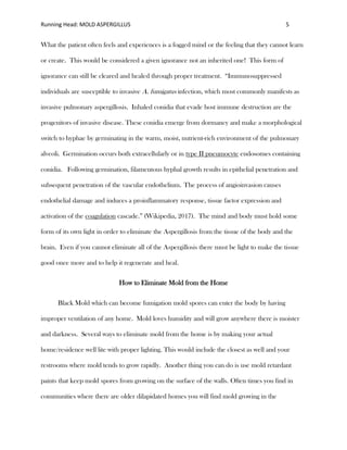 Running Head: MOLD ASPERGILLUS 5
What the patient often feels and experiences is a fogged mind or the feeling that they cannot learn
or create. This would be considered a given ignorance not an inherited one! This form of
ignorance can still be cleared and healed through proper treatment. “Immunosuppressed
individuals are susceptible to invasive A. fumigatus infection, which most commonly manifests as
invasive pulmonary aspergillosis. Inhaled conidia that evade host immune destruction are the
progenitors of invasive disease. These conidia emerge from dormancy and make a morphological
switch to hyphae by germinating in the warm, moist, nutrient-rich environment of the pulmonary
alveoli. Germination occurs both extracellularly or in type II pneumocyte endosomes containing
conidia. Following germination, filamentous hyphal growth results in epithelial penetration and
subsequent penetration of the vascular endothelium. The process of angioinvasion causes
endothelial damage and induces a proinflammatory response, tissue factor expression and
activation of the coagulation cascade.” (Wikipedia, 2017). The mind and body must hold some
form of its own light in order to eliminate the Aspergillosis from the tissue of the body and the
brain. Even if you cannot eliminate all of the Aspergillosis there must be light to make the tissue
good once more and to help it regenerate and heal.
How to Eliminate Mold from the Home
Black Mold which can become fumigation mold spores can enter the body by having
improper ventilation of any home. Mold loves humidity and will grow anywhere there is moister
and darkness. Several ways to eliminate mold from the home is by making your actual
home/residence well lite with proper lighting. This would include the closest as well and your
restrooms where mold tends to grow rapidly. Another thing you can do is use mold retardant
paints that keep mold spores from growing on the surface of the walls. Often times you find in
communities where there are older dilapidated homes you will find mold growing in the
 