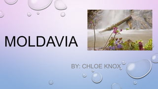 MOLDAVIA
BY: CHLOE KNOX

 