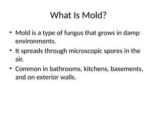 mold_causes and cures _presentation.pptx