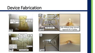 Device Fabrication
 