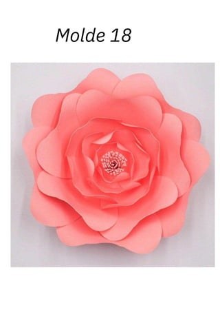 Molde 18
 