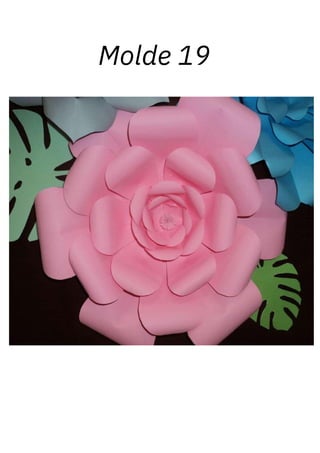 Molde 19
 