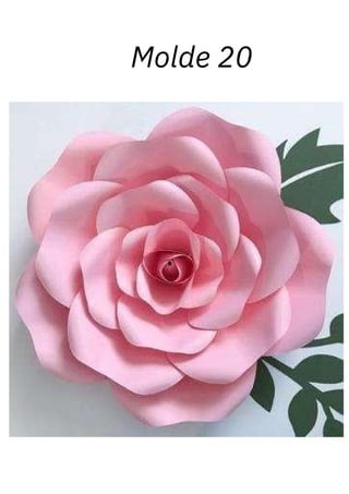 Molde 20
 