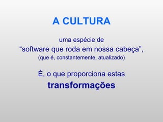 A CULTURA uma espécie de “ software que roda em nossa cabeça”, (que é, constantemente, atualizado) É, o que proporciona estas transformações 