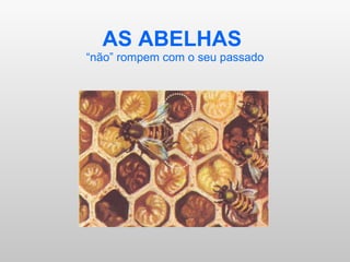 AS ABELHAS  “não” rompem com o seu passado 