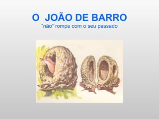 O  JOÃO DE BARRO “não” rompe com o seu passado 