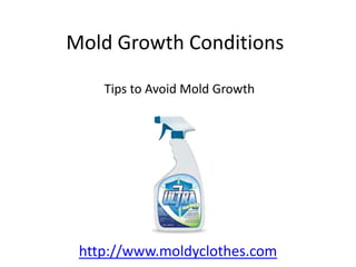 Mold Growth Conditions

    Tips to Avoid Mold Growth




 http://www.moldyclothes.com
 