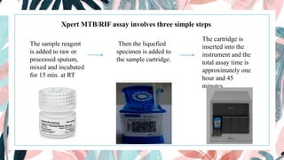 Xpert MTB/RIF assay involves three simple steps
The cartridge is
inserted into the
instrument and the
total assay time is
approximately one
hour and 45
minutes.
Then the liquefied
specimen is added to
the sample cartridge.
The sample reagent
is added to raw or
processed sputum,
mixed and incubated
for 15 min. at RT
 