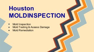 Houston 
MOLDINSPECTION 
● Mold Inspection 
● Mold Testing & Assess Damage 
● Mold Remediation 
 