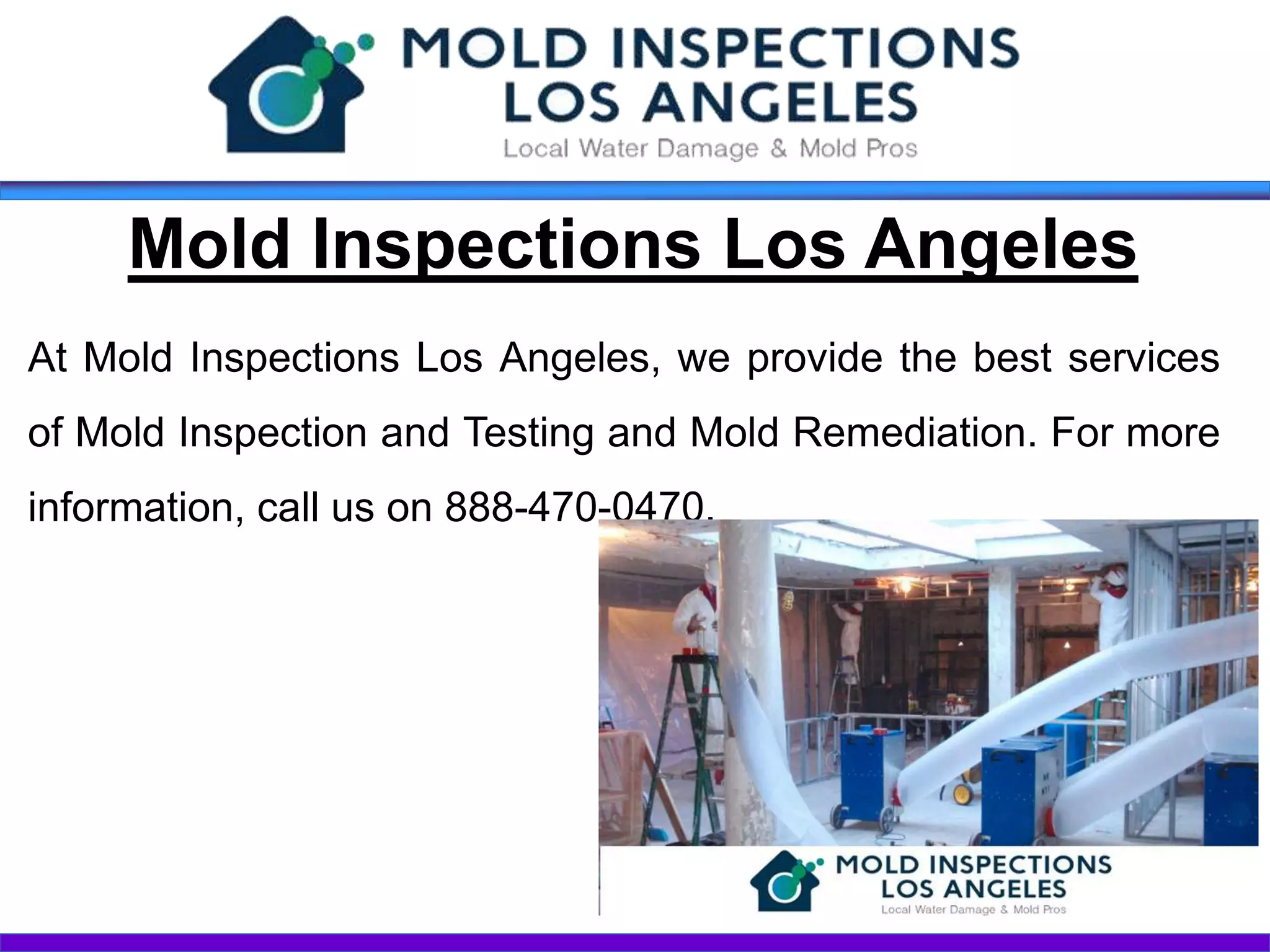 Mold Inspections Los Angeles | PPT