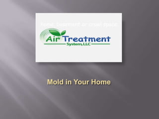Mold in Your Home home, basement or crawl space. 