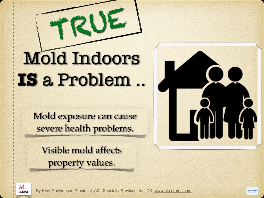 Mold Myths