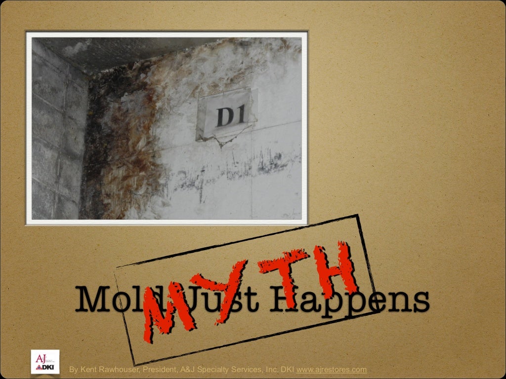 Mold Myths