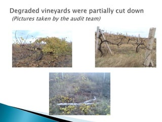 13         4 IT Audits performed4 IT audits (reviewing the general controls and the application controls)—3 of these were pilot audits; 4 staff trained in IT auditing;Training materials;IT Auditing Manual.