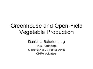 Greenhouse and Open-Field Vegetable Production Daniel L. Schellenberg Ph.D. Candidate  University of California Davis CNFA Volunteer 