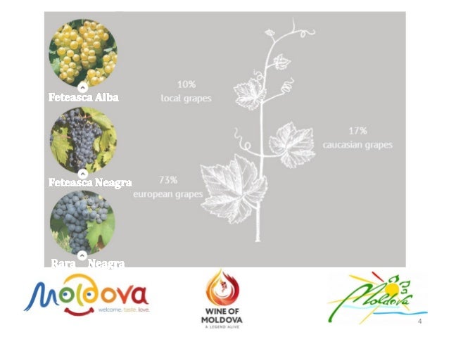 24+ Moldova Tourism Logo Pics