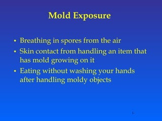 Mold Exposure   Breathing in spores from the air Skin contact from handling an item that has mold growing on it Eating without washing your hands after handling moldy objects 