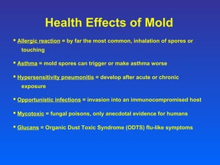 Health Effects of Mold •   Allergic reaction  = by far the most common, inhalation of spores or touching •   Asthma  = mold spores can trigger or make asthma worse  •   Hypersensitivity pneumonitis  = develop after acute or chronic exposure •   Opportunistic infections  = invasion into an immunocompromised host •   Mycotoxic  = fungal poisons, only anecdotal evidence for humans •   Glucans  = Organic Dust Toxic Syndrome (ODTS) flu-like symptoms 