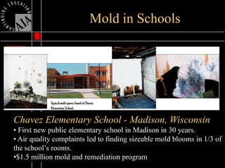 Mold Presentation | PDF