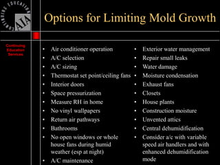 Mold Presentation | PDF