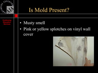Mold Presentation | PDF