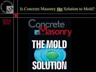 Mold Presentation | PDF