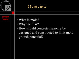 Mold Presentation | PDF