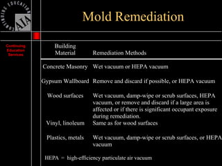 Mold Presentation | PDF