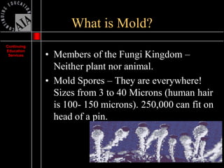 Mold Presentation | PDF