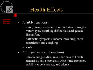 Mold Presentation | PDF