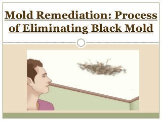 Mold Remediation: Process
of Eliminating Black Mold
 