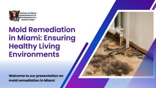 Mold Remediation
in Miami: Ensuring
Healthy Living
Environments
Welcome to our presentation on
mold remediation in Miami
 