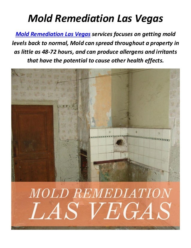 Mold Testing & Mold Remediation in Las Vegas, NV