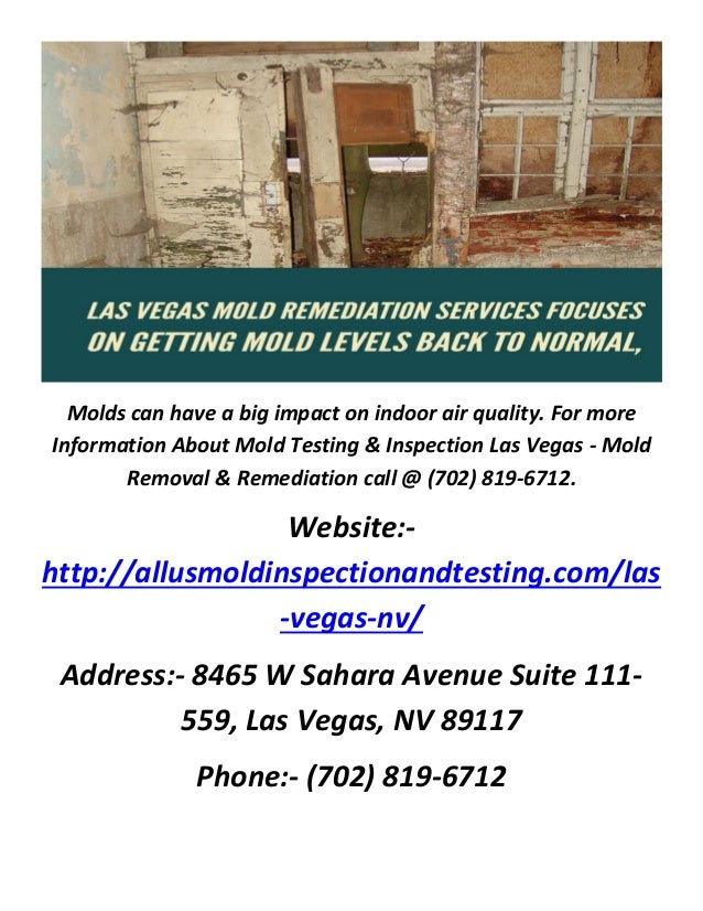 Mold Testing & Mold Remediation in Las Vegas, NV