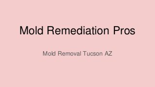 Mold Remediation Pros
Mold Removal Tucson AZ
 