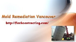 Mold Remediation Vancouver