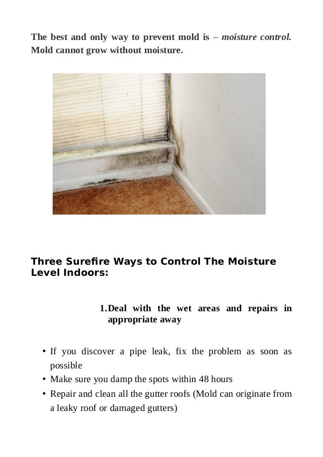 Expert’s Guide Tips on How to Stop Mold From Growing in Home