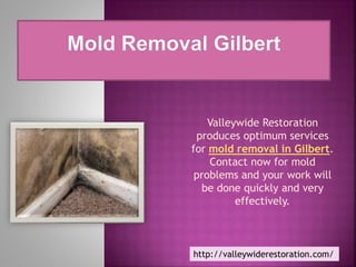 Valleywide Restoration
produces optimum services
for mold removal in Gilbert.
Contact now for mold
problems and your work will
be done quickly and very
effectively.
http://valleywiderestoration.com/
 