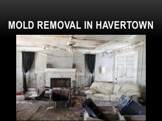 MOLD REMOVAL IN HAVERTOWN
 